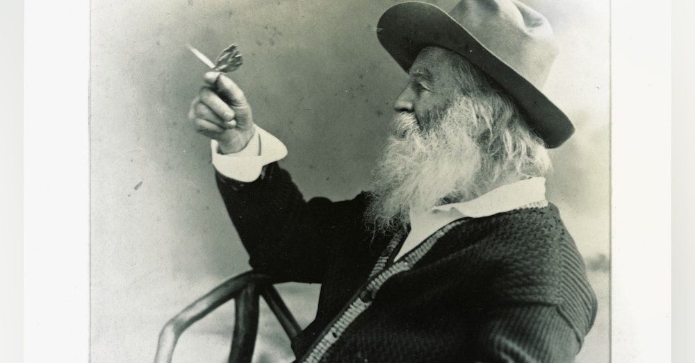 413 Walt Whitman - 