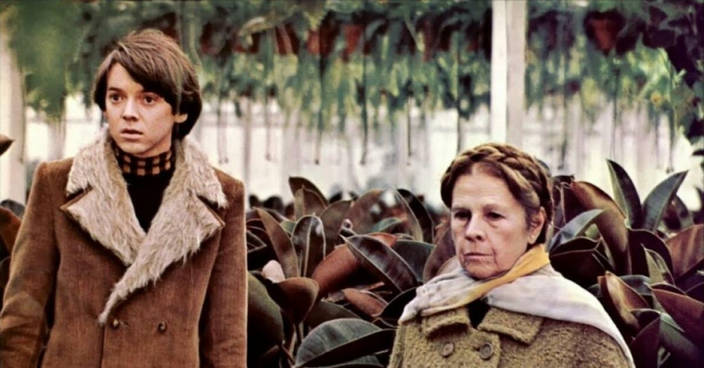 Midweek Mention... Harold and Maude