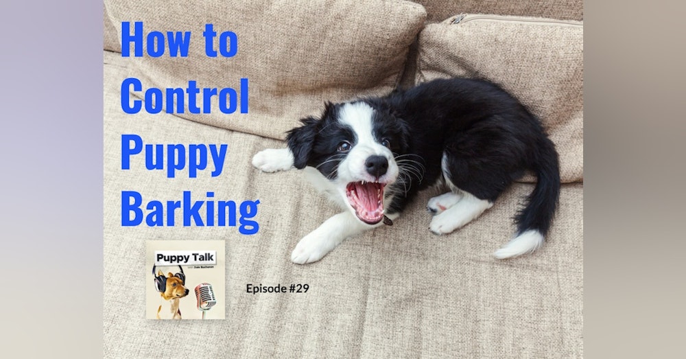 How to Control Puppy Barking