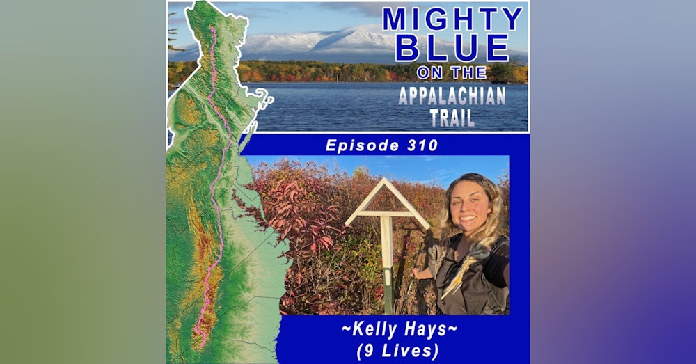 Episode #310 - Kelly Hays (9 Lives)