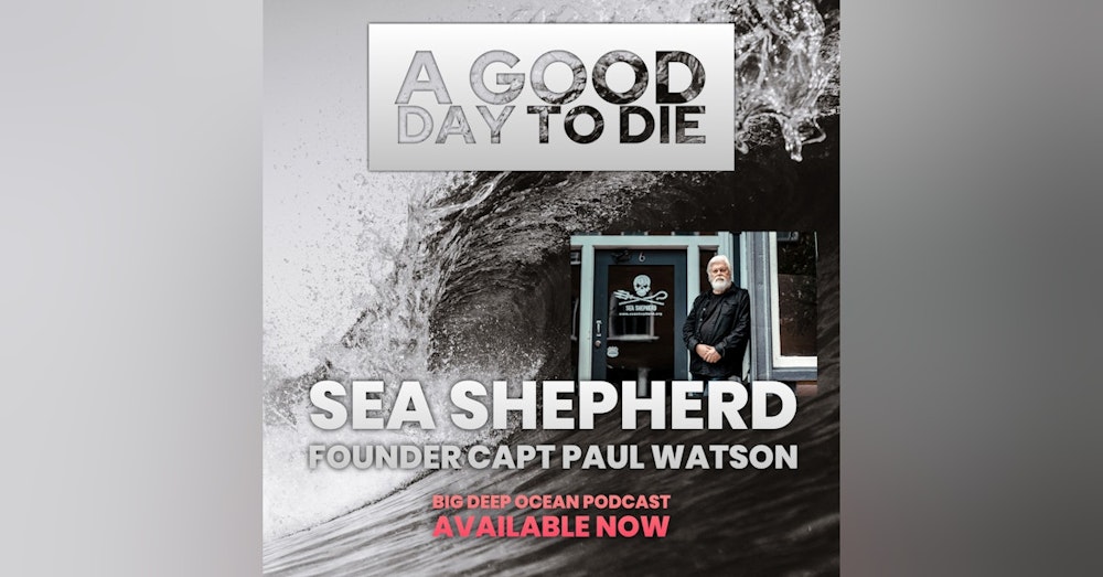 A Good Day To Die: Sea Shepherd Founder Captain Paul Watson On The Compassion Behind Confrontation