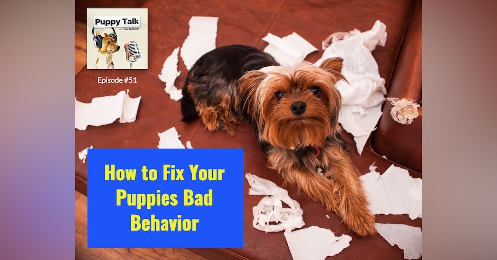 How to Fix Your Puppies Bad Behavior