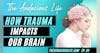How Trauma Impacts Our Brain  - Ep. 92
