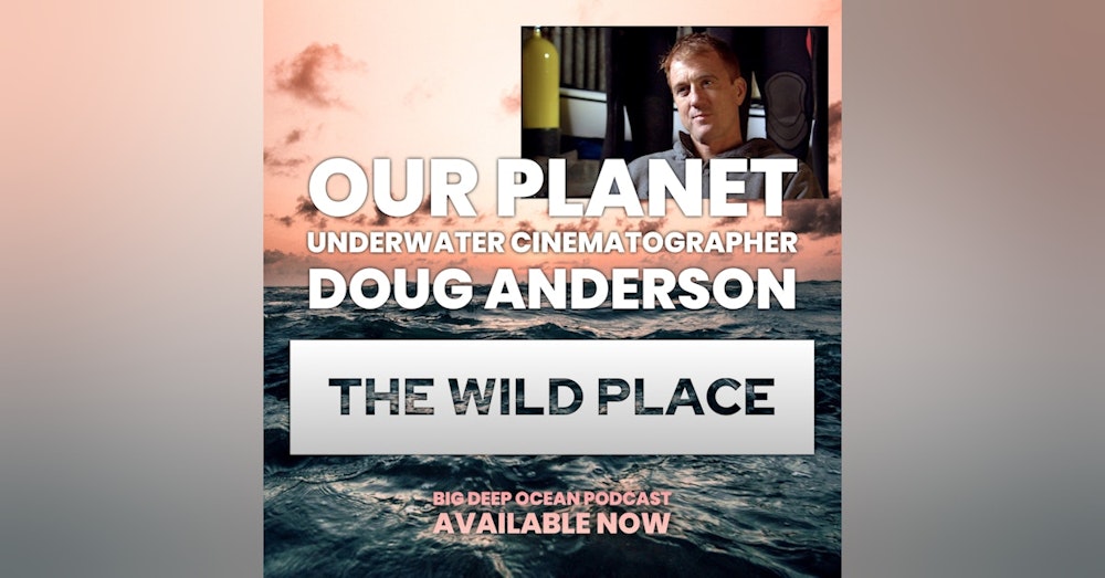 The Wild Place - Underwater cinematographer Doug Anderson on how the ocean has defined his life on films such as 