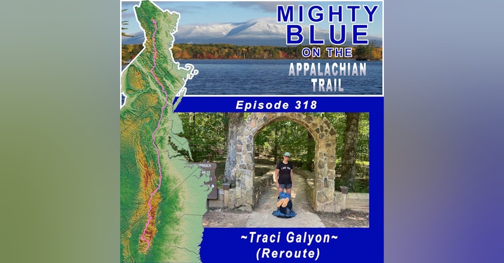 Episode #318 - Traci Galyon (Reroute)