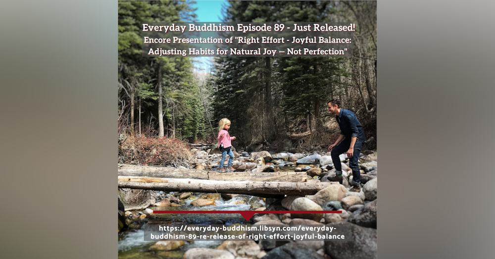 Everyday Buddhism 89 - Encore of Right Effort: Joyful Balance