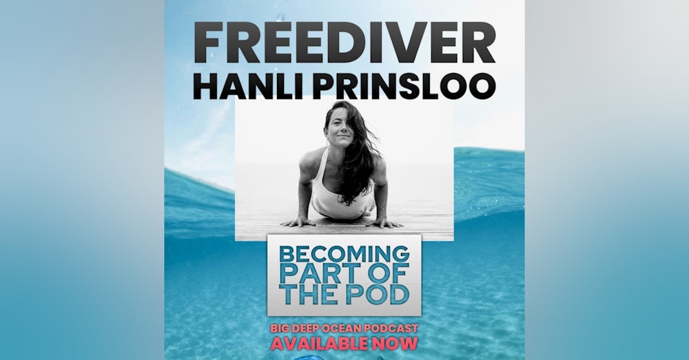 Becoming Part of the Pod: Hanli Prinsloo and how freediving connects her with marine wildlife
