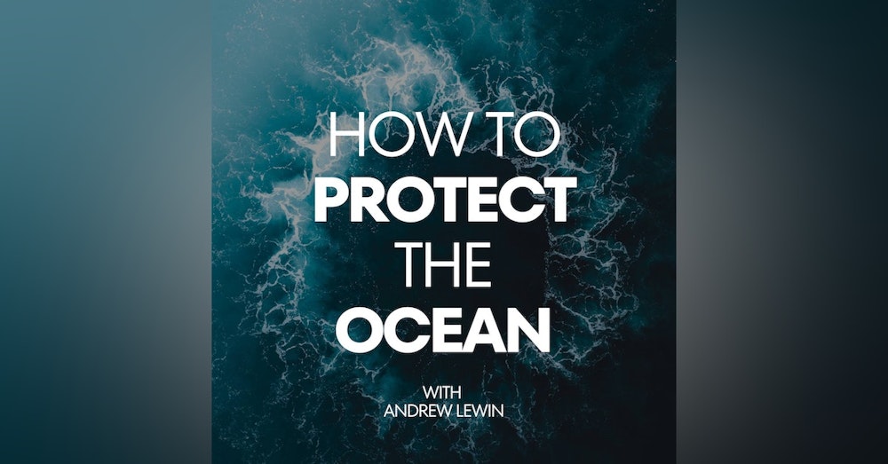 How I plan to protect the ocean in 2023