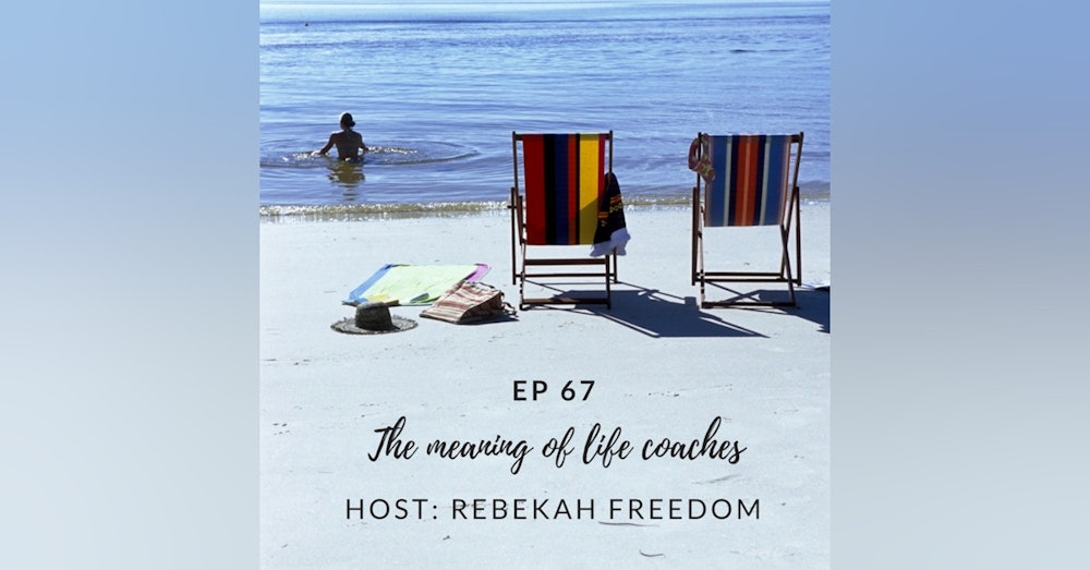 The Meaning of Life Coaches - HNS067