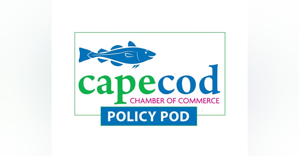 Cape Cod's 'Blue Economy' - What Lies Ahead for the Region