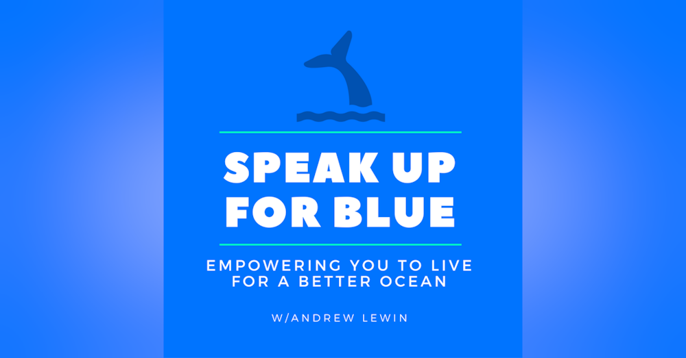 SUFB 292: What Can You Do To Save The Oceans