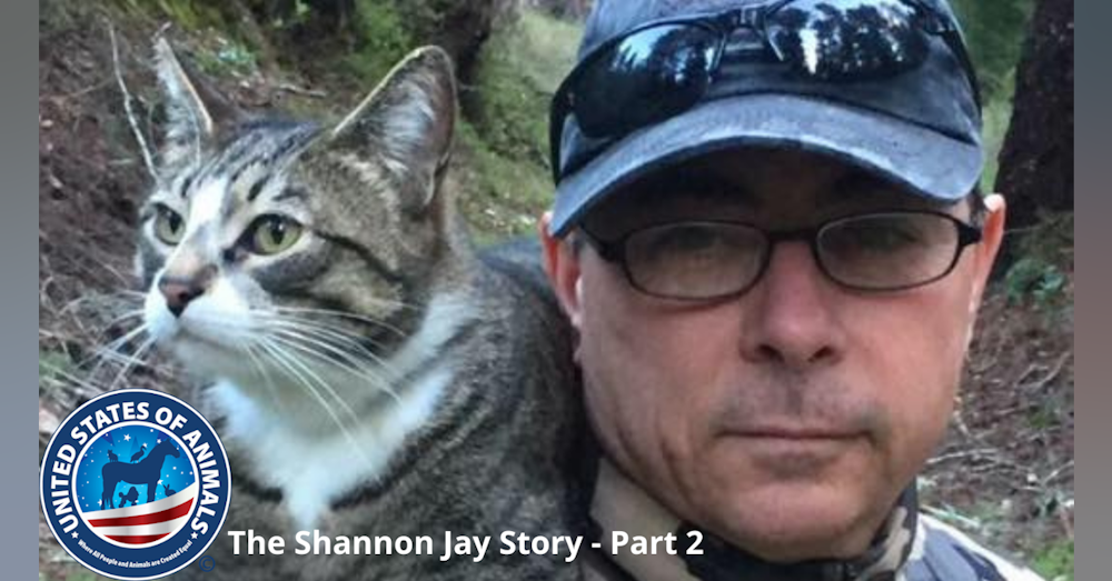 United States of Animals - The Shannon Jay Story Part 2