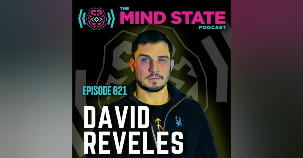 021 - David Reveles on Martial Arts, Mental Health, Wellness, Meditation, and More
