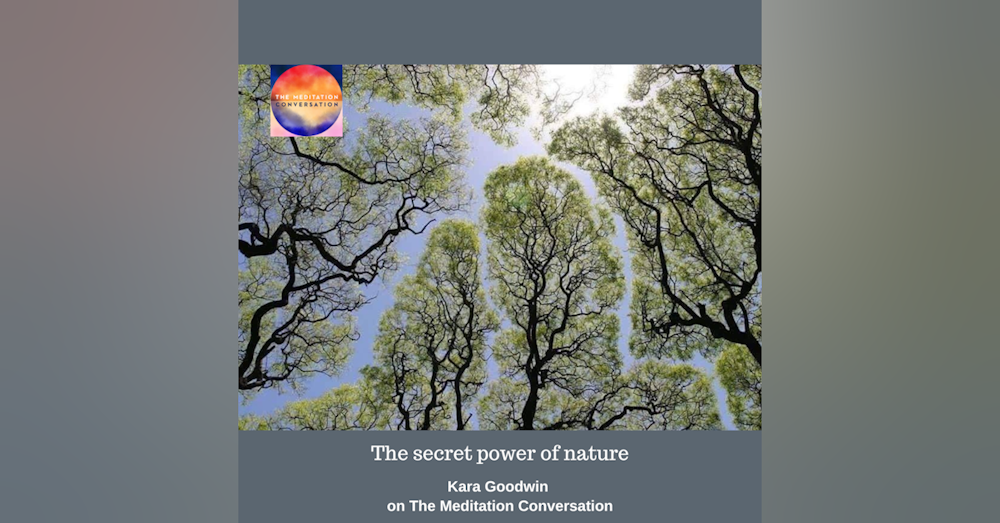 218. Secret Power of Nature - Kara's Kushion
