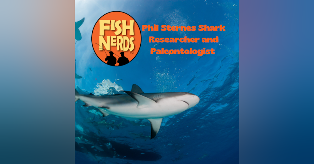 Phil Sternes Shark Paleontologist EP 304