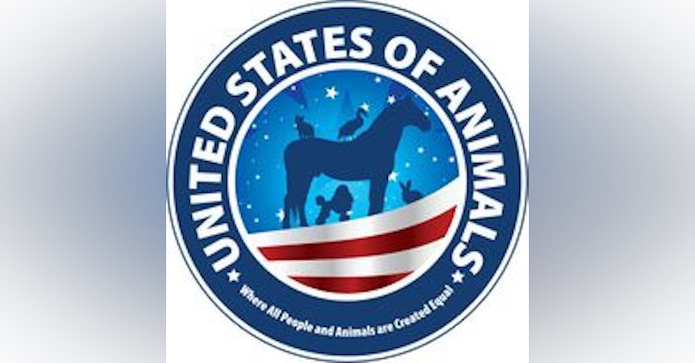 United States of Animals - The Story of Vince