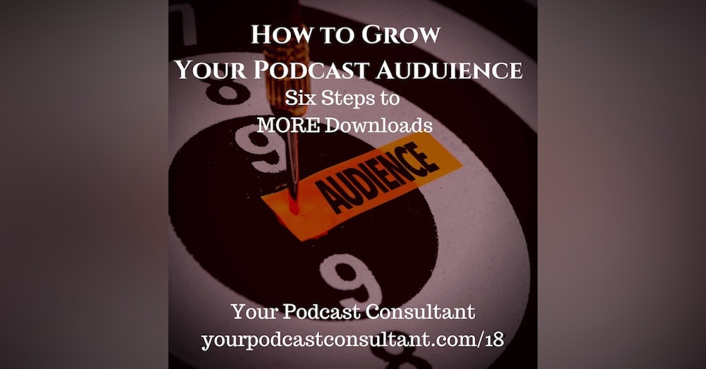 How To Grow Your Podcast - 10,000 Foot Overview