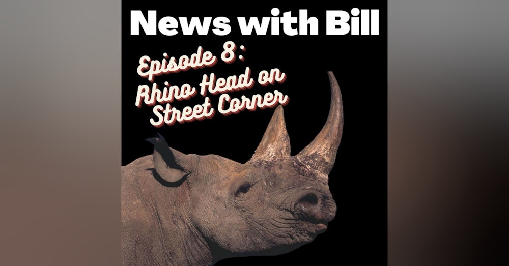 Rhino Head on Street Corner