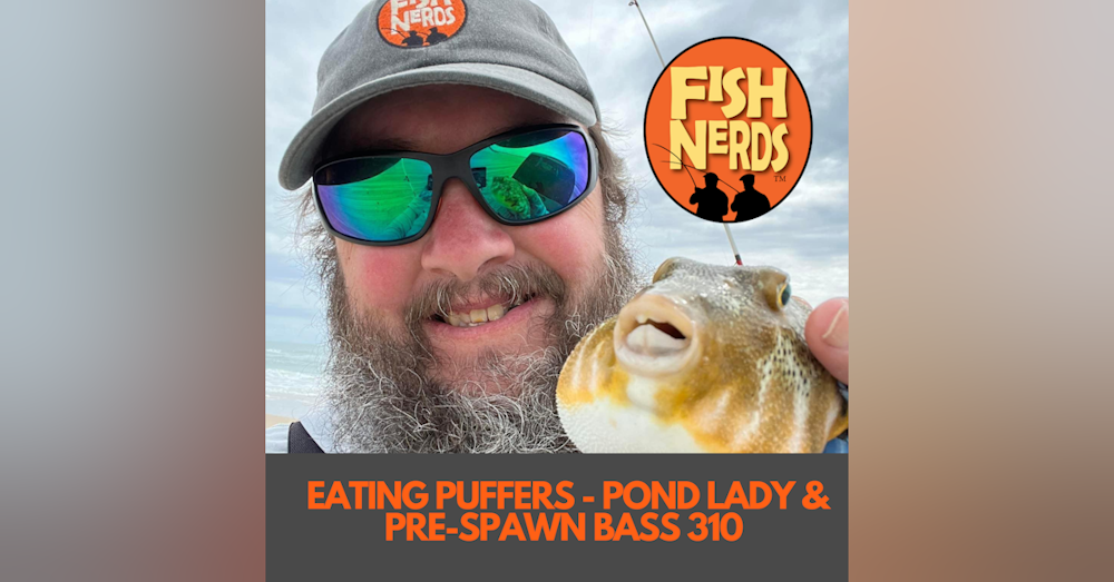 EATING PUFFERS - POND LADY & PRE-SPAWN BASS 310