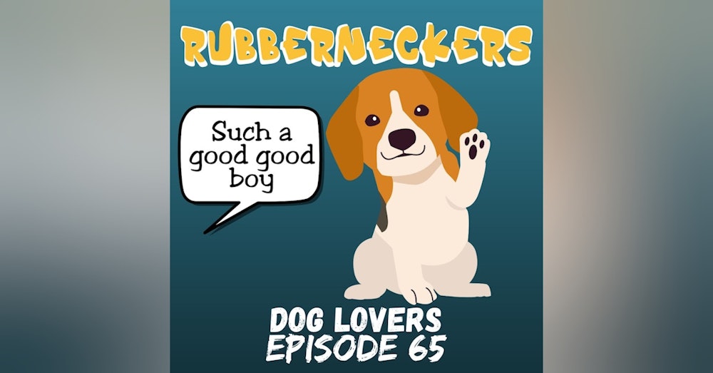 Dog Lover | Episode 65