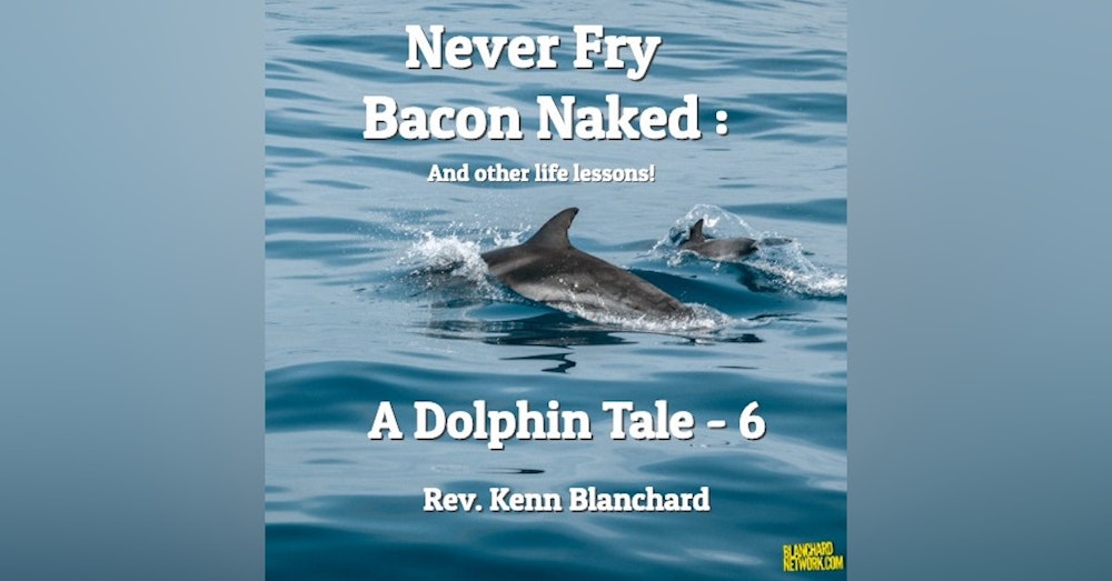 Dolphins Tale