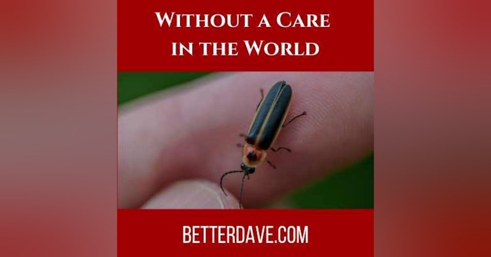 Without a Care in the World