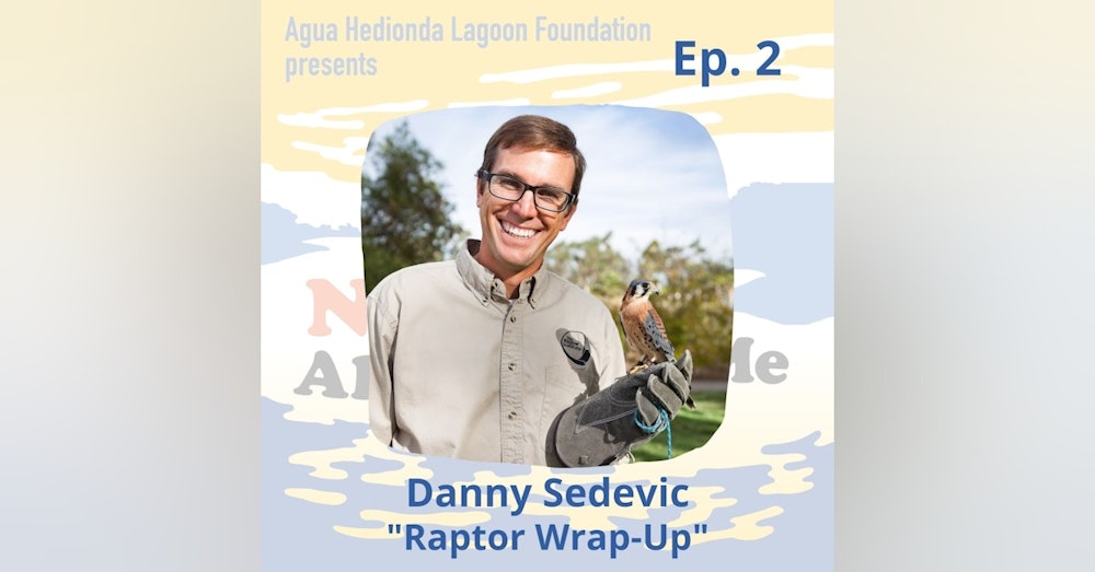 Ep. 2 Danny Sedevic: Raptor Wrap-Up