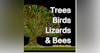 Trees, Birds, Lizards and Bees