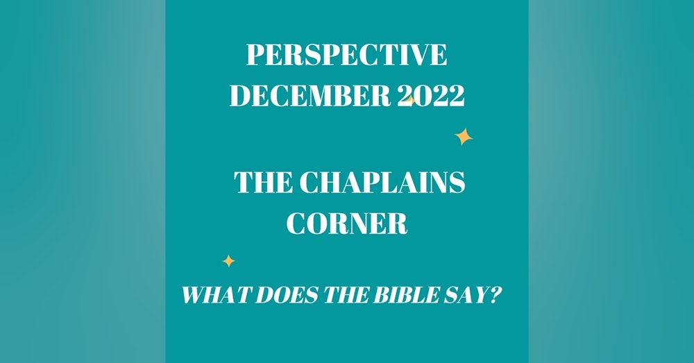 Perspective December 2022