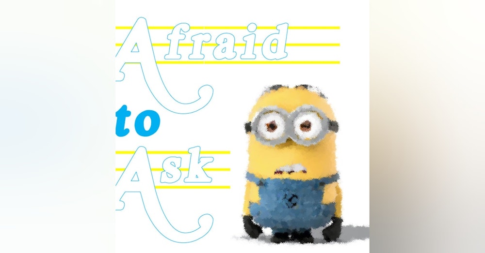 Afraid to ask