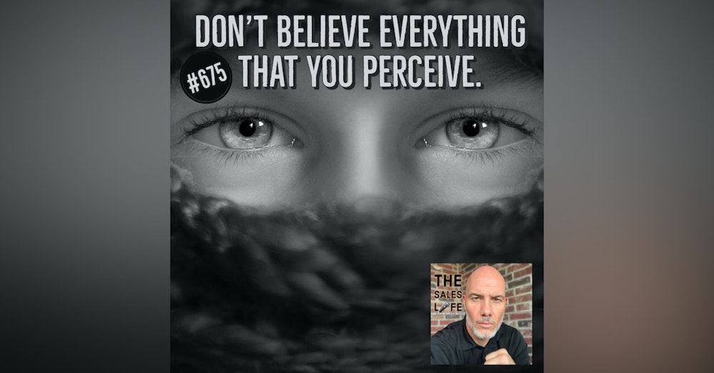 Don't believe everything that you perceive. | Apply proportional thinking to your life w/ Damon West