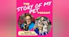 Navigating the Heartwarming World of Animal Rescue and Fostering: Stories and Insights from Foster Tales Rescue