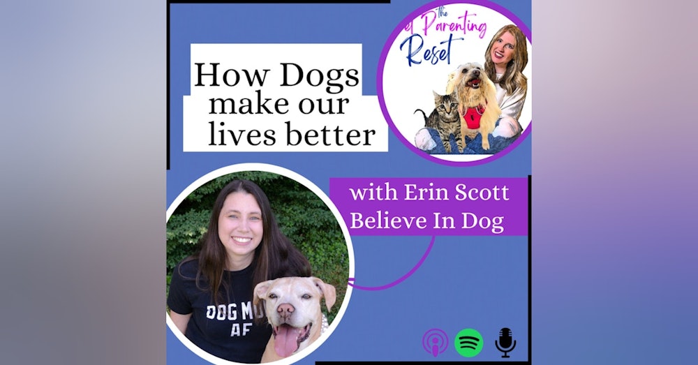 76. How Dogs Can Change Our Lives with Erin Scott of Believe In Dog