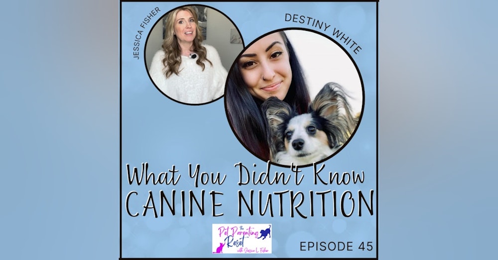 What You Didn't Know About Dog Nutrition with Destiny White