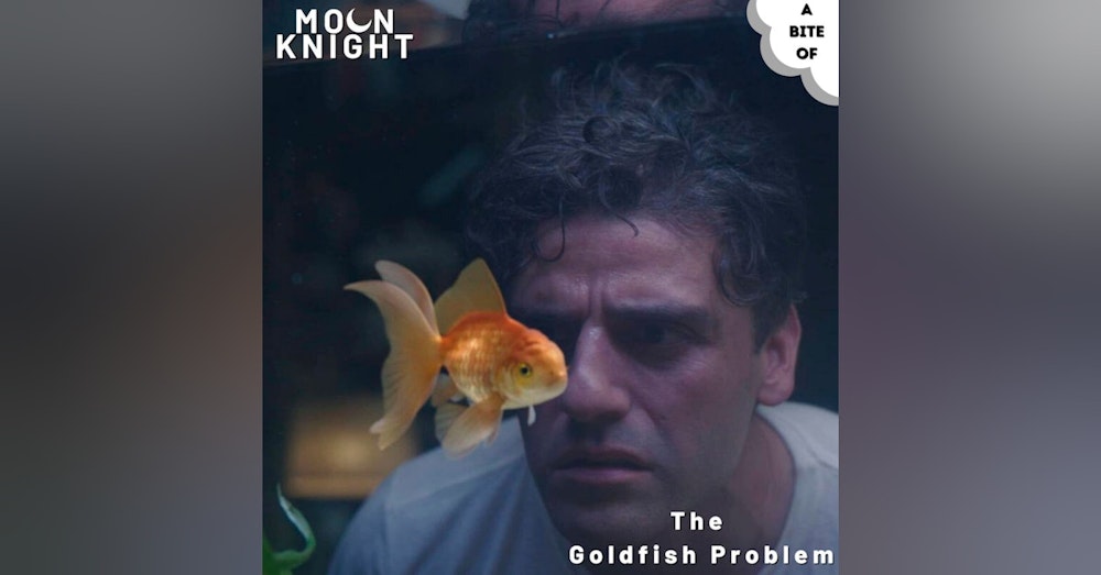 Moon Knight 1: The Goldfish Problem | Marvel
