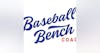 The Baseball Bench Coach