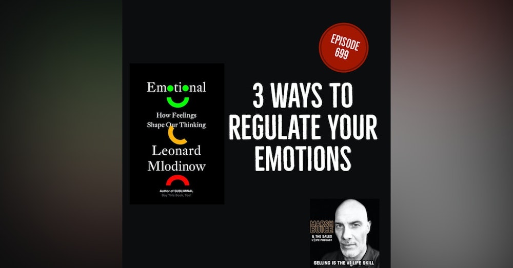 699. Lead Better & Live Longer. | Three Ways To Regulate Your Emotions.