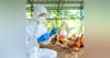 Interwoven Threads of Avian Influenza and One Health with Dr. Greg Gray