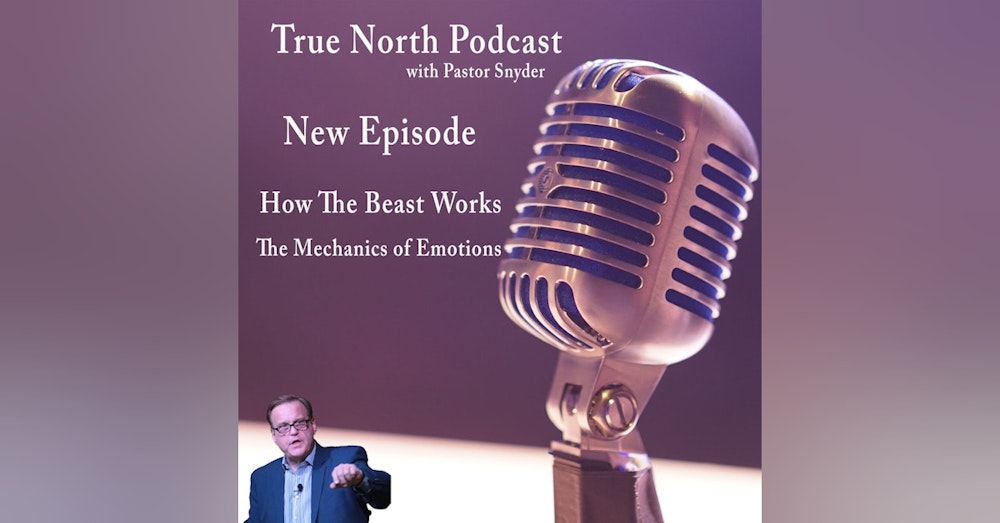 Ep. 25 How The Beast Works (The Mechanics of Emotions)
