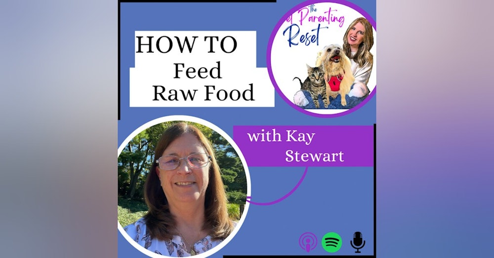 How To Start Feeding Your Dog Raw Food with Feed Real