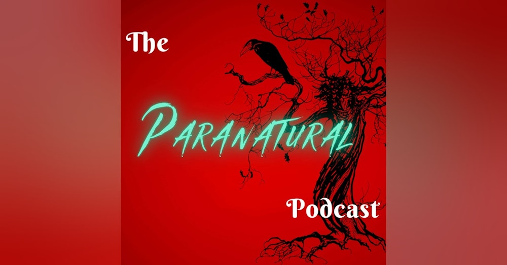Interview With Dark Hollow Paranormal