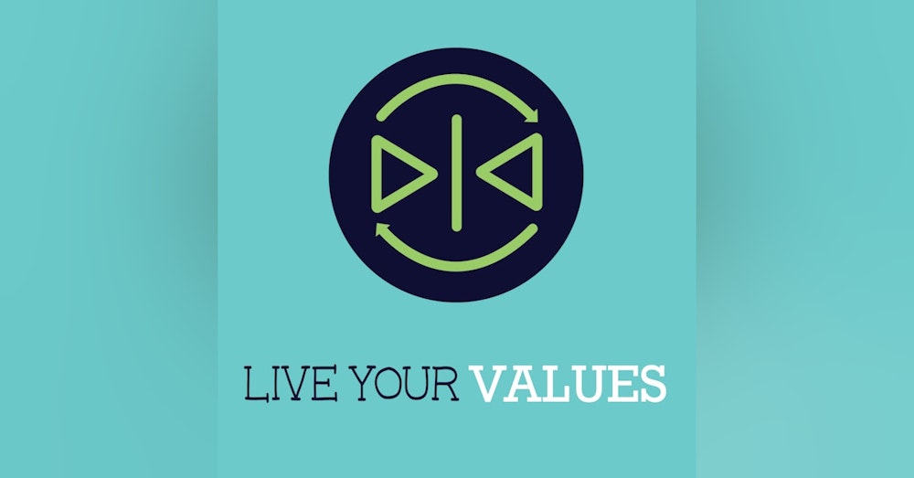 Helping Small Businesses and Living Your Values with Mike Barugel (