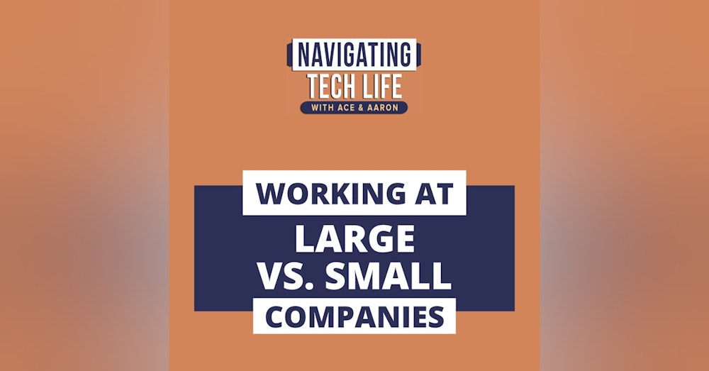 3: Large vs. Small Companies