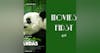 416: Pandas 3D - Movies First with Alex First