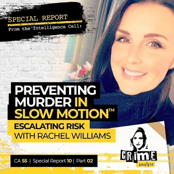 55: Special Report from the Intelligence Cell | Ep 55 | Preventing Murder in Slow Motion™: Escalating Risk with Rachel Williams, Part 2