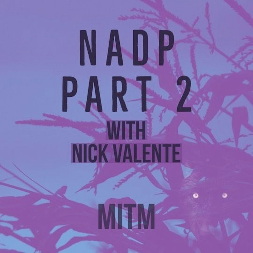 10: NADP Part 2 with Nick Valente