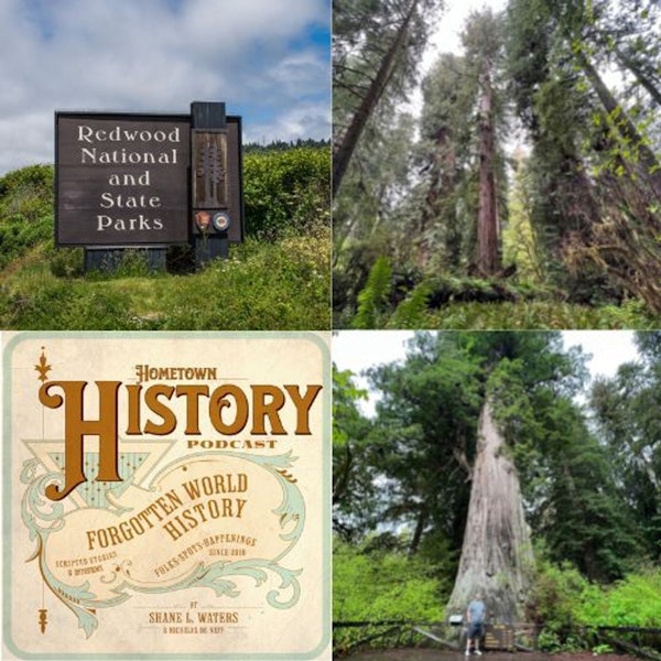 79: Redwoods National Park