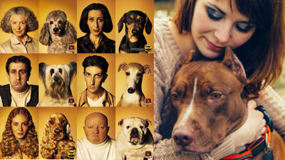 Episode image for Dogs and Their People | Do Owners Really Look Like Their Dogs?
