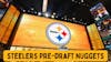 Episode image for Pittsburgh Steelers NFL Draft - Pre-Draft Notes