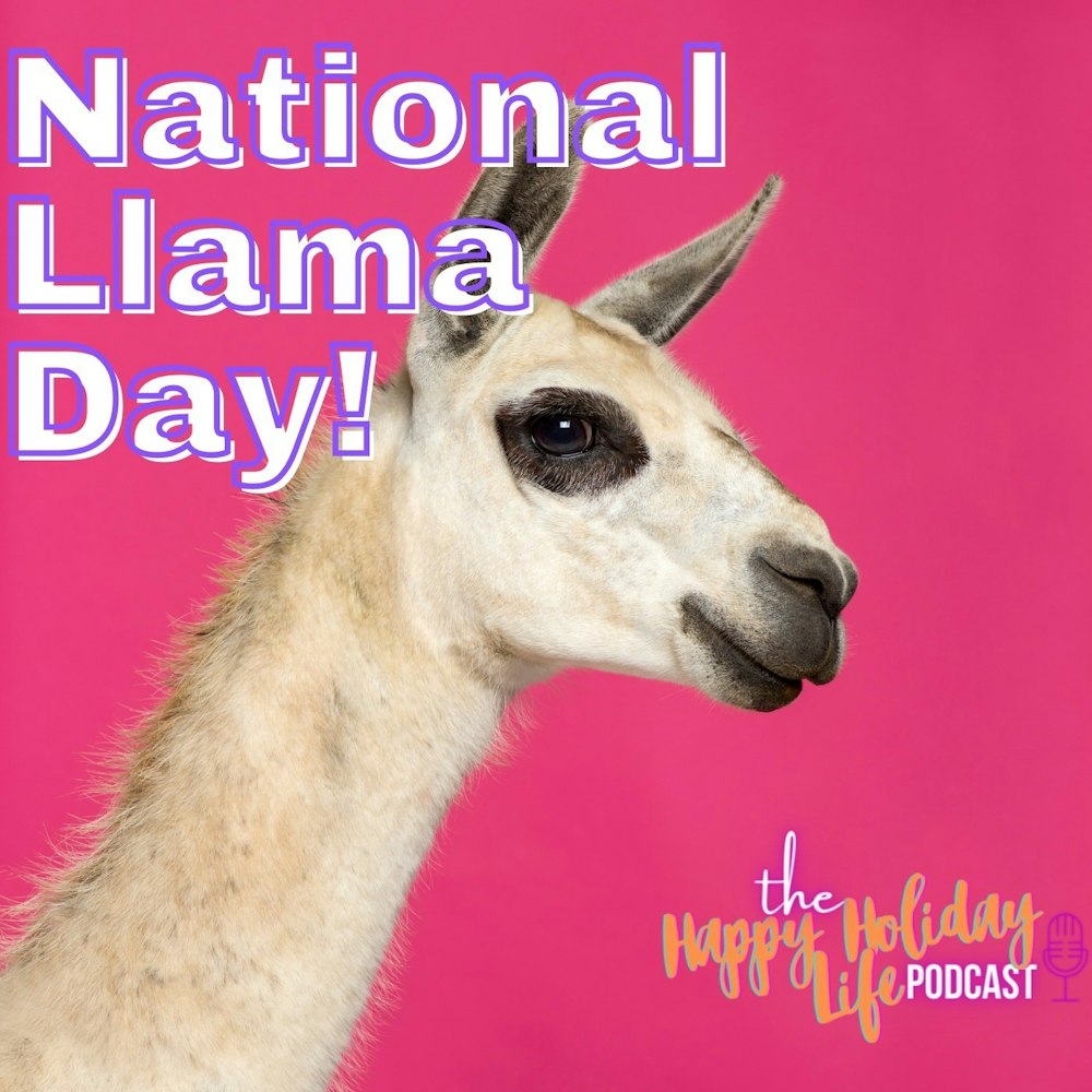 Episode #042 National Llama Day